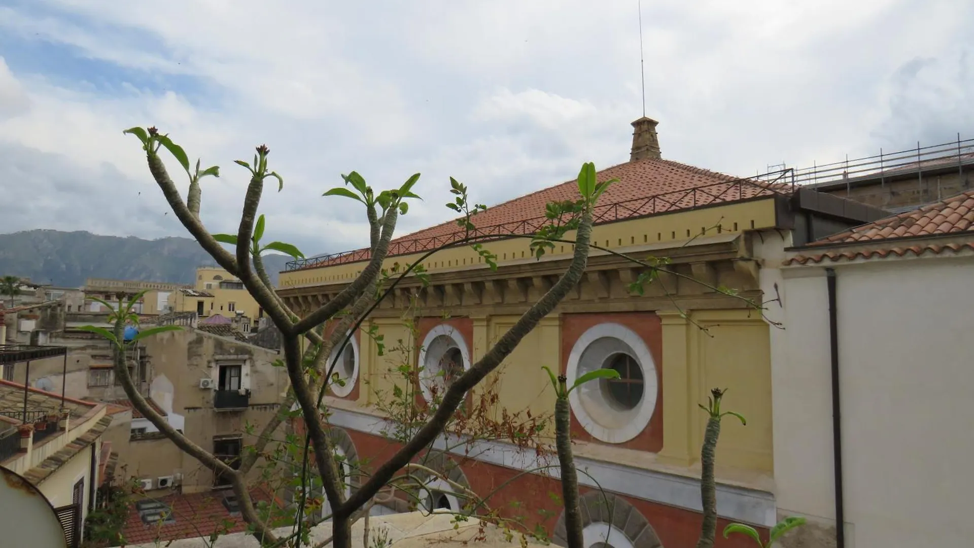 Awesome Terrace And Apartment In The City Centre Palermo